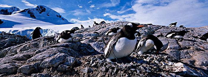 《赛博朋克2077》2.0版CPU占用过高 给电脑带来压力